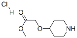 146117-95-5,(PIPERIDIN-4-YLOXY)-ACETIC ACID METHYL ESTER HYDROCHLORIDE
