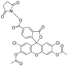 147265-60-9,5(6)-CARBOXY-2',7'-DICHLOROFLUORESCEIN DIACETATE N-SUCCINIMIDYL ESTER