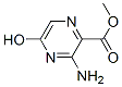 1503-03-3,METHYL 3-AMINO-5-HYDROXYPYRAZINE-2-CARBOXYLATE