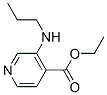 151323-47-6,4-Pyridinecarboxylicacid,3-(propylamino)-,ethylester(9CI)