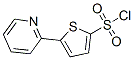 151858-64-9,5-(2-PYRIDYL)THIOPHENE-2-SULFONYL CHLORIDE