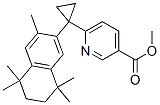 153559-50-3,METHYL 6-(1-(1,2,3,4-TETRAHYDRO-1,1,4,4,6-PENTAMETHYLNAPHTHALEN-7-YL)CYCLOPROPYL)PYRIDINE-3-CARBOXYLATE