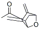 155004-12-9,Ethanone, 1-[5,6-bis(methylene)-7-oxabicyclo[2.2.1]hept-2-yl]-, endo- (9CI)