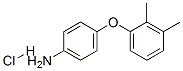 155106-50-6,[4-(2,3-DIMETHYLPHENOXY)PHENYL]AMINE HYDROCHLORIDE