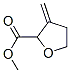 155190-06-0,2-Furancarboxylicacid,tetrahydro-3-methylene-,methylester(9CI)
