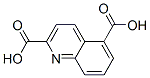 155602-27-0,2,5-Quinolinedicarboxylicacid(9CI)