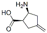 156292-16-9,Cyclopentanecarboxylic acid, 2-amino-4-methylene-, cis- (9CI)