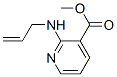 157362-04-4,3-Pyridinecarboxylicacid,2-(2-propenylamino)-,methylester(9CI)