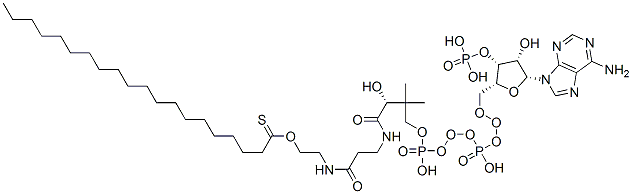 15895-27-9,(C20:0) COENZYME A
