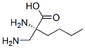 160557-07-3,L-Norleucine, 2-(aminomethyl)- (9CI)