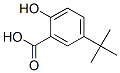 16094-31-8,5-(1,1-dimethylethyl)salicylic acid