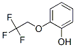 160968-99-0,2-(2,2,2-Trifluoroethoxy)phenol