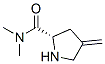 162281-70-1,2-Pyrrolidinecarboxamide,N,N-dimethyl-4-methylene-,(S)-(9CI)