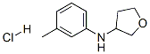 162851-44-7,N-(3'-METHYL-PHENYL)-TETRAHYDROFURAN-3-YLAMINE HYDROCHLORIDE