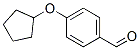 164520-98-3,4-CYCLOPENTYLOXY-BENZALDEHYDE