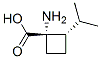 166666-95-1,Cyclobutanecarboxylic acid, 1-amino-2-(1-methylethyl)-, trans- (9CI)