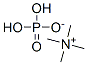 167693-36-9,DOYLE DIRHODIUM CATALYST-RH2(4S-MEOX)4