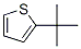 1689-78-7,2-T-BUTYLTHIOPHENE