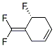169899-24-5,Cyclohexene, 4-(difluoromethylene)-5-fluoro-, (R)- (9CI)