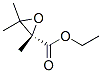 170210-32-9,Oxiranecarboxylicacid,trimethyl-,ethylester,(S)-(9CI)