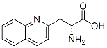 170421-67-7,(R)-2-AMINO-3-QUINOLIN-2-YL-PROPIONIC ACID