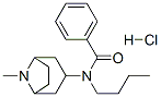 171261-26-0,N-butyl-N-(8-methyl-8-azabicyclo[3.2.1]oct-3-yl)benzamide hydrochlorid e