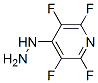 1735-44-0,2,3,5,6-TETRAFLUORO-4-HYDRAZINOPYRIDINE