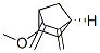 174172-48-6,Bicyclo[2.2.1]heptane, 5-methoxy-2,3-bis(methylene)-, (1S-exo)- (9CI)