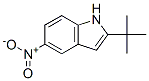 174274-85-2,2-tert-butyl-5-nitro-1H-indole