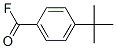 174579-99-8,Benzoyl fluoride, 4-(1,1-dimethylethyl)- (9CI)