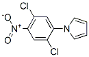 175135-54-3,1-(2,5-DICHLORO-4-NITROPHENYL)-1H-PYRROLE