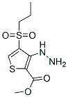 175202-01-4,METHYL 3-HYDRAZINO-4-(PROPYLSULFONYL)THIOPHENE-2-CARBOXYLATE