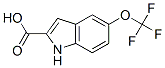 175203-84-6,5-(TRIFLUOROMETHOXY)INDOLE-2-CARBOXYLIC ACID