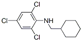 177721-94-7,CYCLOHEXYLMETHYL-(2,4,6-TRICHLORO-PHENYL)-AMINE
