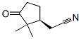 182863-77-0,Cyclopentaneacetonitrile, 2,2-dimethyl-3-oxo-, (S)- (9CI)