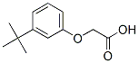 1878-55-3,[3-(1,1-dimethylethyl)phenoxy]acetic acid