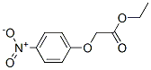 19076-89-2,(4-NITROPHENOXY) ACETIC ACID ETHYL ESTER