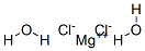 19098-17-0,Magnesium chloride dihydrate