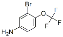 191602-54-7,3-BROMO-4-(TRIFLUOROMETHOXY)ANILINE
