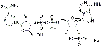 19254-05-8,ADENOSINE 5'-(TRIHYDROGEN DIPHOSATE), 2'-(SODIUM HYDROGEN PHOSPHATE), P',5'-ESTER WITH 3-(AMINOTHIOXOMETHYL)-1-BETA-D-RIBOFURANOSYLPYRIDIUM INNER SALT