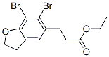 196597-75-8,Ethyl 3-(6,7-Dibromo-2,3-dihydro-1-benzofuran-5-yl)propanoate