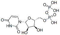 19817-91-5,UDP SODIUM SALT