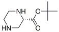 198992-48-2,2-Piperazinecarboxylicacid,1,1-dimethylethylester,(S)-(9CI)