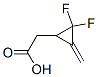 199176-95-9,Cyclopropaneacetic acid, 2,2-difluoro-3-methylene- (9CI)