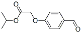 199177-25-8,CHEMBRDG-BB 7731199