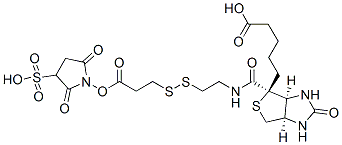 202057-28-1,Sulfosuccinimidyl 3-[[2-(Biotinamido)ethyl] dithio]propionate