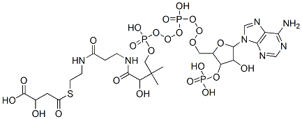 2043-93-8,4-[2-[3-[4-[[[5-(6-aminopurin-9-yl)-4-hydroxy-3-phosphonooxy-oxolan-2-yl]methoxy-hydroxy-phosphoryl]oxy-hydroxy-phosphoryl]oxy-2-hydroxy-3,3-dimethyl-butanoyl]aminopropanoylamino]ethylsulfanyl]-2-hydroxy-4-oxo-butanoic acid