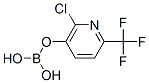 205240-63-7,2-Trifluoromethyl-6-chloro-5-pyridineboric acid