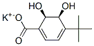 205639-92-5,(2R,3S)-1-CARBOXY-4-TERT-BUTYL-2,3-DIHYDROXYCYCLOHEXA-4,6-DIENE, POTASSIUM SALT