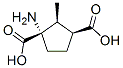 207983-43-5,1,3-Cyclopentanedicarboxylicacid,1-amino-2-methyl-,(1S,2S,3S)-(9CI)